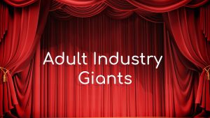 10 Top Porn Companies [2024]: List of Adult Industry Giants