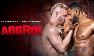 Unraveling the Intensity of “Aggro!” – A Raging Stallion Masterpiece