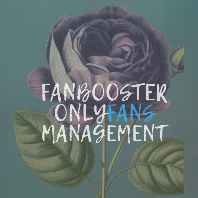 onlyfans manager