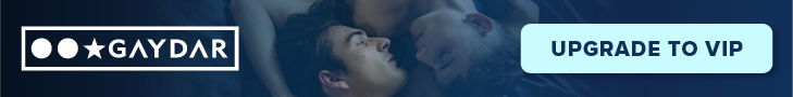 Gaydar logo.