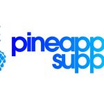 Feet4Cash Steps Up for Creator Wellness With Pineapple Support Sponsorship