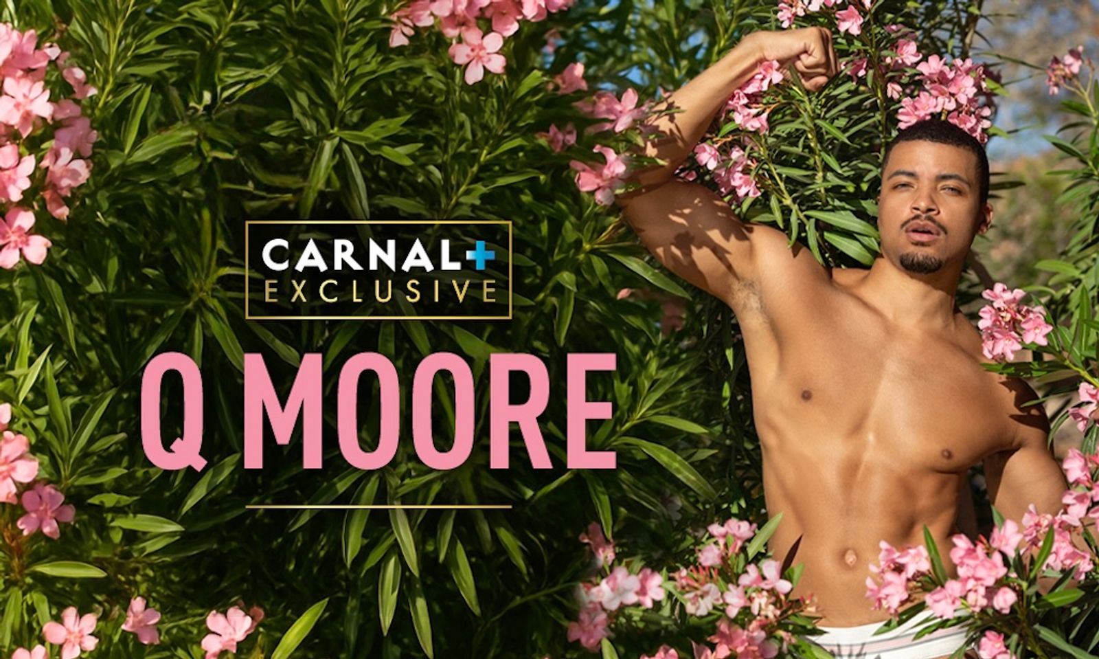 From Bartender to Brawn: Meet Q Moore, Carnal Media’s Newest ‘Total Package’