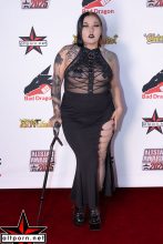 AltStar Awards Red Carpet