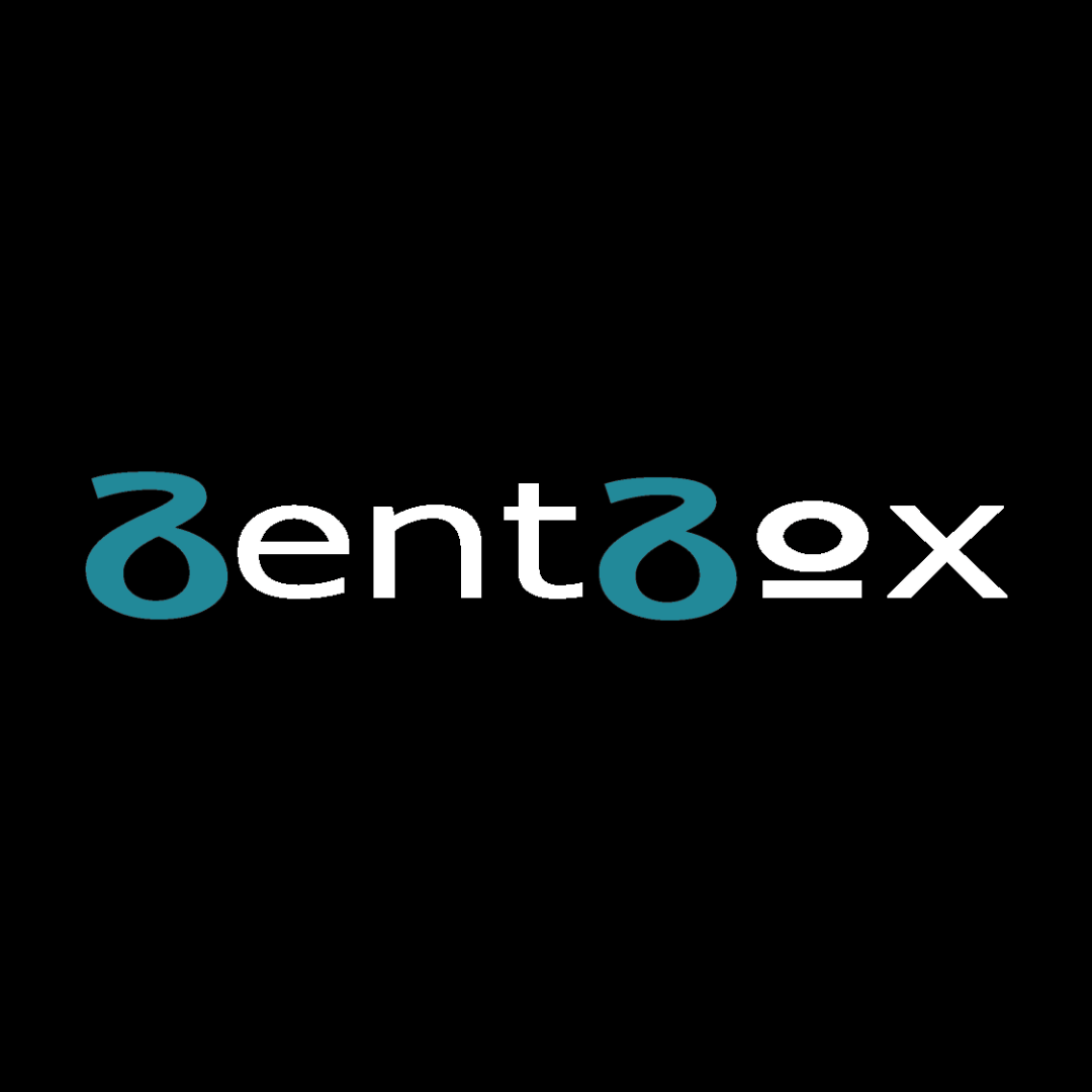 Unpacking BentBox: The Platform Letting Creators Sell Content in Curated ‘Boxes’
